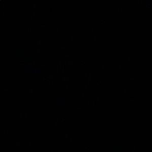 Meet your Posher, Gavin